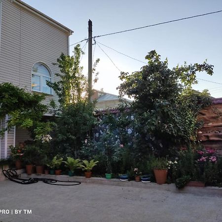 Villa Premium Qusar Buitenkant foto
