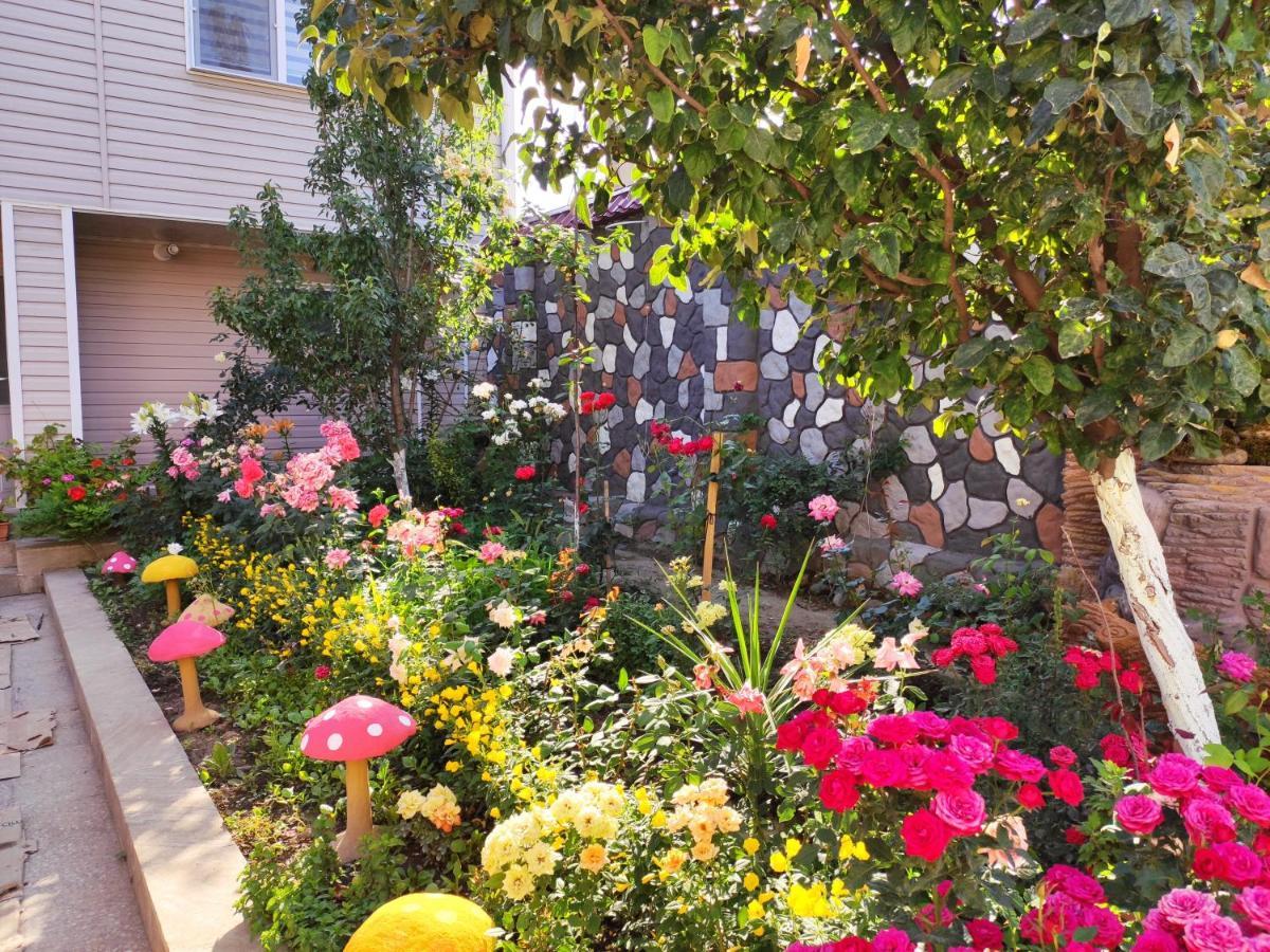 Villa Premium Qusar Buitenkant foto